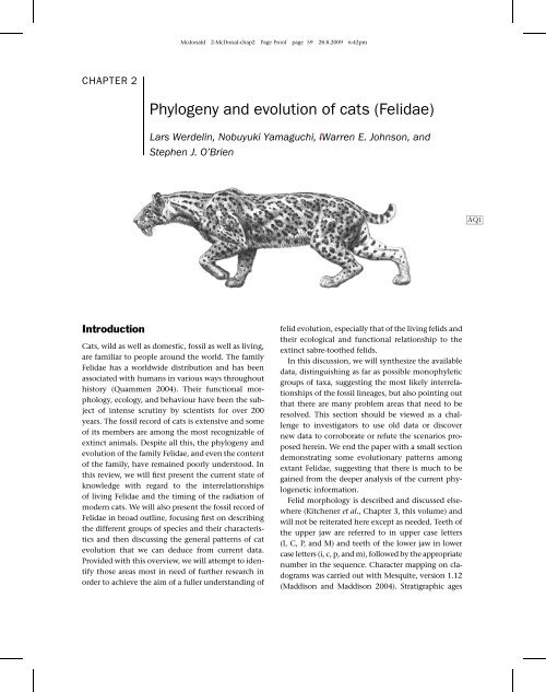 Phylogeny and evolution of cats (Felidae)