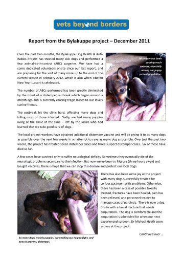 End of Year report for 2011 - Vets Beyond Borders