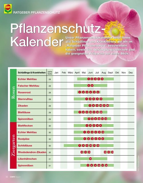 COMPO Magazin - Schneckenprofi