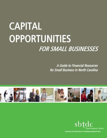 Capital Opportunities for Small Businesses - sbtdc