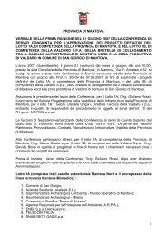 provincia di mantova verbale della prima riunione del 21 giugno ...