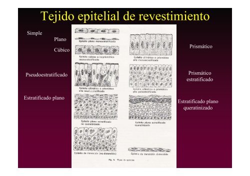 C1 introduccion.pdf