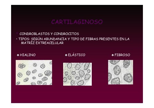 C1 introduccion.pdf