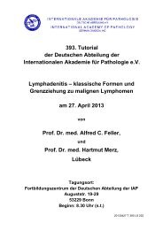 Anamnesen als .pdf - Internationale Akademie für Pathologie ...