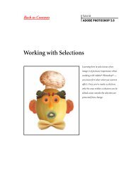 Working with Selections - CSAIL People