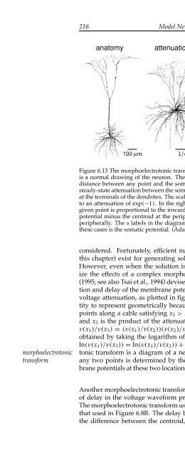 Theoretical Neuroscience