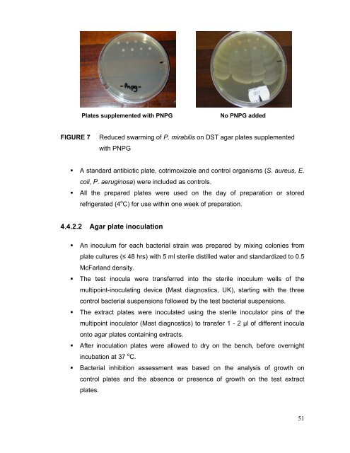 an investigation into the antibacterial activities of medicinal plants ...