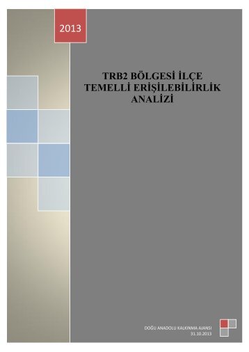 TRB2 Bölgesi İlçe Temelli Erişilebilirlik Analizi Raporu