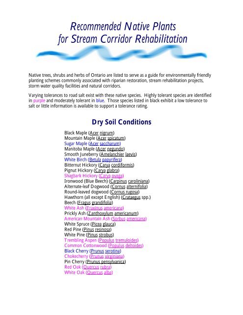 Recommended Native Plants for Stream Corridor ... - Ontario Streams