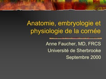 Anatomie, embryologie et physiologie de la cornÃ©e - Bbarthelemy.com