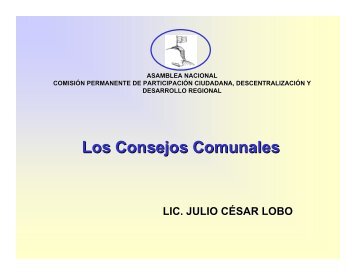 Vigencia y Perspectiva de los Consejos Comunales.