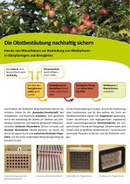 zum Flyer - Naturschutzcenter