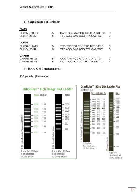 GP-Skript für WS 2013/2014 (pdf) - in der Biochemie