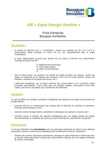 Fiche Entreprise Bouygues Immobilier - Enjeu Energie Positive