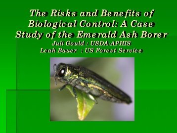 A Case Study of the Emerald Ash Borer