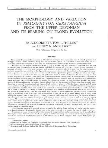 the morphology and variation in rhacophyton ... - SunStar Solutions