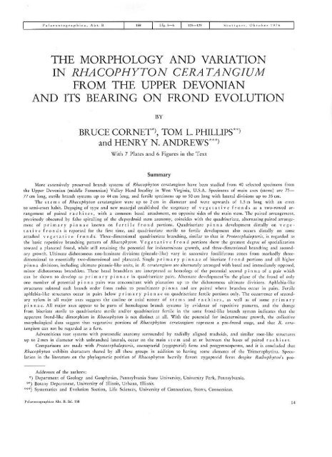 the morphology and variation in rhacophyton ... - SunStar Solutions