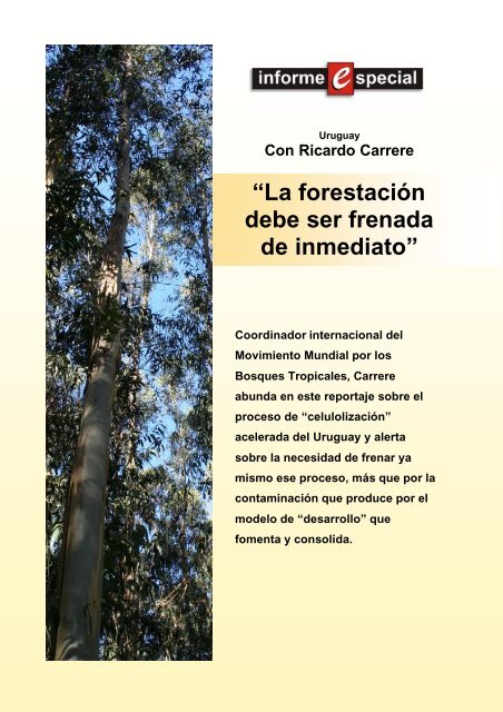 “La forestación debe ser frenada de inmediato” - Rel-UITA