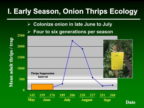 Onion thrips management in Wisconsin