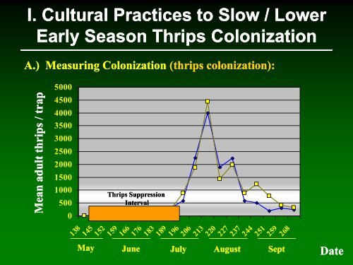 Onion thrips management in Wisconsin