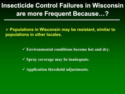 Onion thrips management in Wisconsin