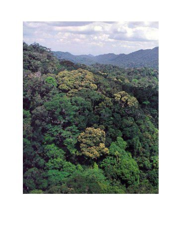 华南森林自然保护区保护管理手册