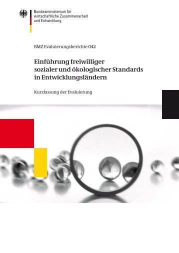 EinfÃ¼hrung freiwilliger sozialer und Ã¶kologischer Standards in ... - BMZ