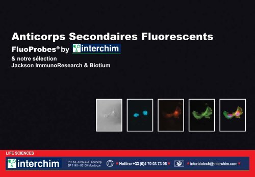 Anticorps Secondaires Fluorescents - Interchim