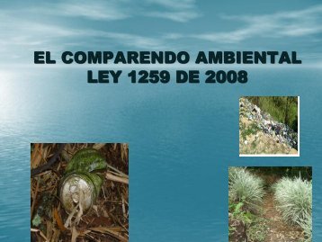 El Comparendo Ambiental - Corporación Autónoma Regional Del ...