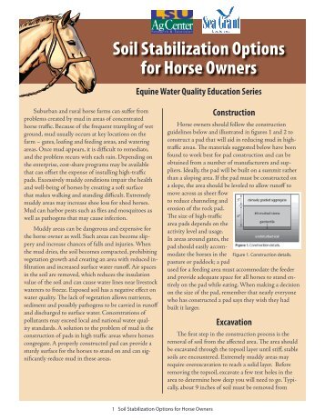 Soil Stabilization Options for Horse Owners