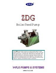 ZDG Mild Pressure Boiler Feed Pump - V-FLO