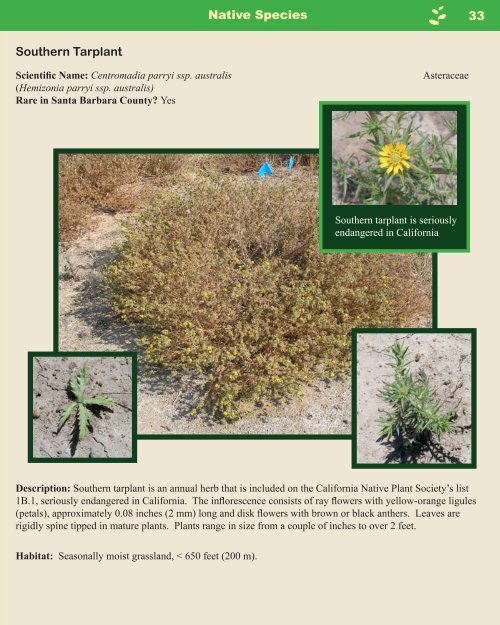 Guide to Native and Invasive Plants Storke Ranch Vernal ... - Cram