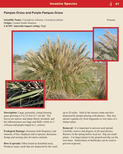 Guide to Native and Invasive Plants Storke Ranch Vernal ... - Cram