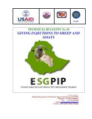 GIVING INJECTIONS TO SHEEP AND GOATS - esgpip