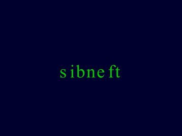 1H 1998 Sibneft Results (English)