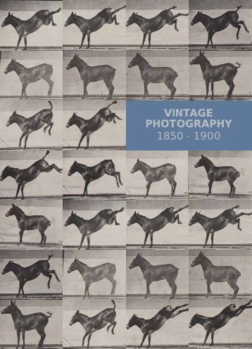 VINTAGE PHOTOGRAPHY 1850 - 1900 - Shapero Rare Books