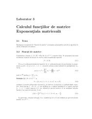 Calculul functiilor de matrice Exponentiala matricealËa