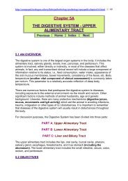 Chapter 5A THE DIGESTIVE SYSTEM - UPPER ALIMENTARY TRACT
