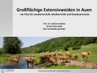 GroÃŸflÃ¤chige Extensivweiden in Auen - Aktion Grundwasserschutz