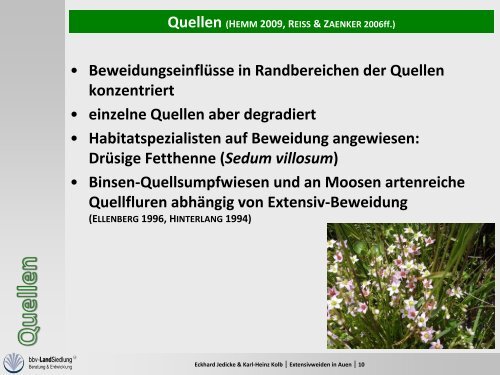 GroÃŸflÃ¤chige Extensivweiden in Auen - Aktion Grundwasserschutz