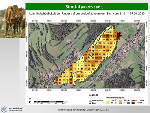 GroÃŸflÃ¤chige Extensivweiden in Auen - Aktion Grundwasserschutz