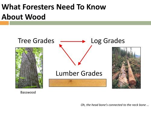 James M. Ringe - Society of Wood Science and Technology