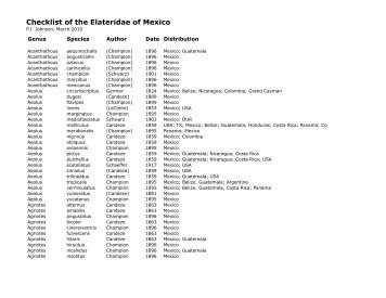 Checklist of the Elateridae of Mexico