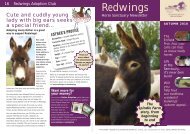 This Adorable Little Donkey - Redwings