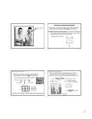 increased homozygosity