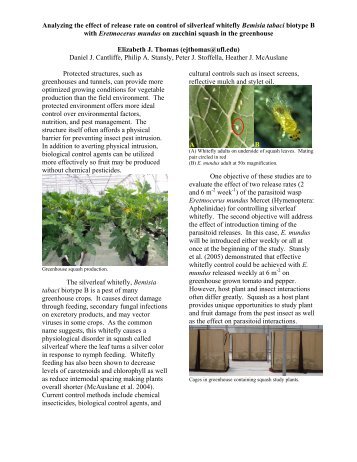 Evaluation of silverleaf whitefly biological control using Eretmocerus