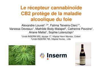 (Microsoft PowerPoint - C45-LOUVET.ppt [Lecture seule ... - Afef