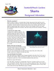 SeaWorld/Busch Gardens Sharks Background Information