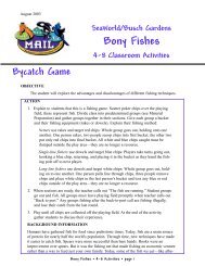 Bycatch Game - Sea World