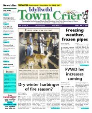 5! - Idyllwild Town Crier